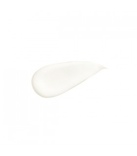 Aveda Botanical Repair Leave in Treatment 100 ml