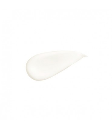 Aveda Botanical Repair Leave in Treatment 100 ml