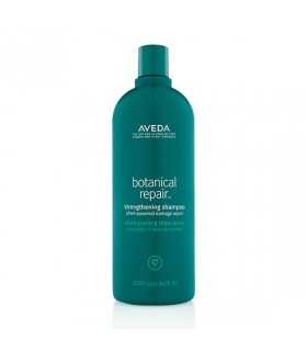 Comprar Aveda Botanical Repair Strengthening Shampoo 1000 ml Online | BeautyHair.es ®