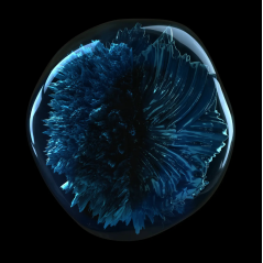 L'OREAL SERIE EXPERT - SERIOXYL ADVANCED CHAMPU DENSIFICANTE 300 ML